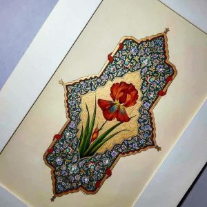 img45